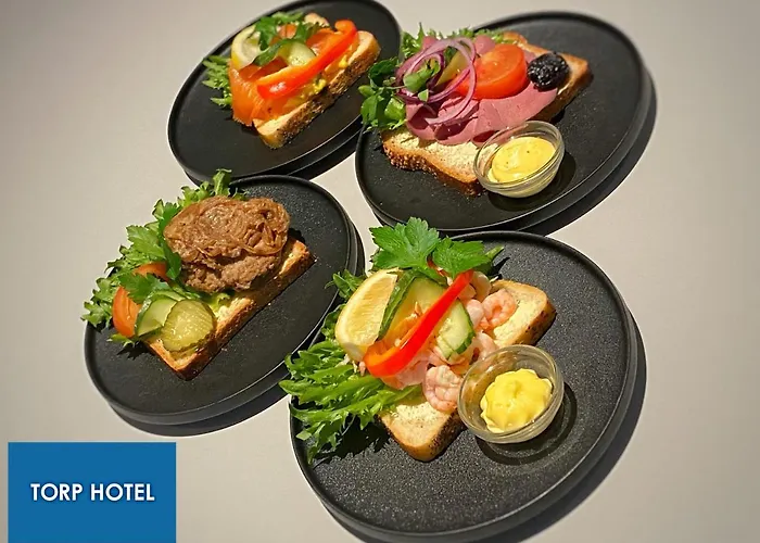 Torp 酒店 桑讷菲尤尔